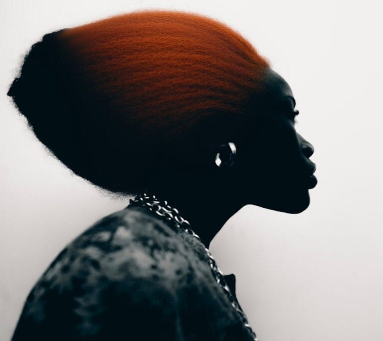 Silhouette portrait used in Krafty Page ChronicleS